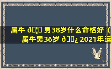 属牛 🦁 男38岁什么命格好（属牛男36岁 🌿 2021年运势）